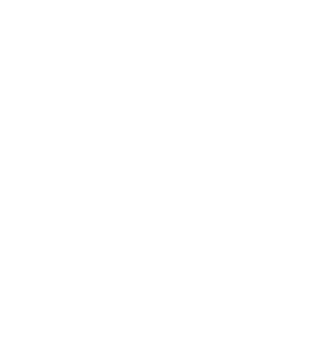 Southmark SM mark